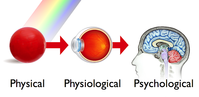 Physical - Physiological - Psychological.