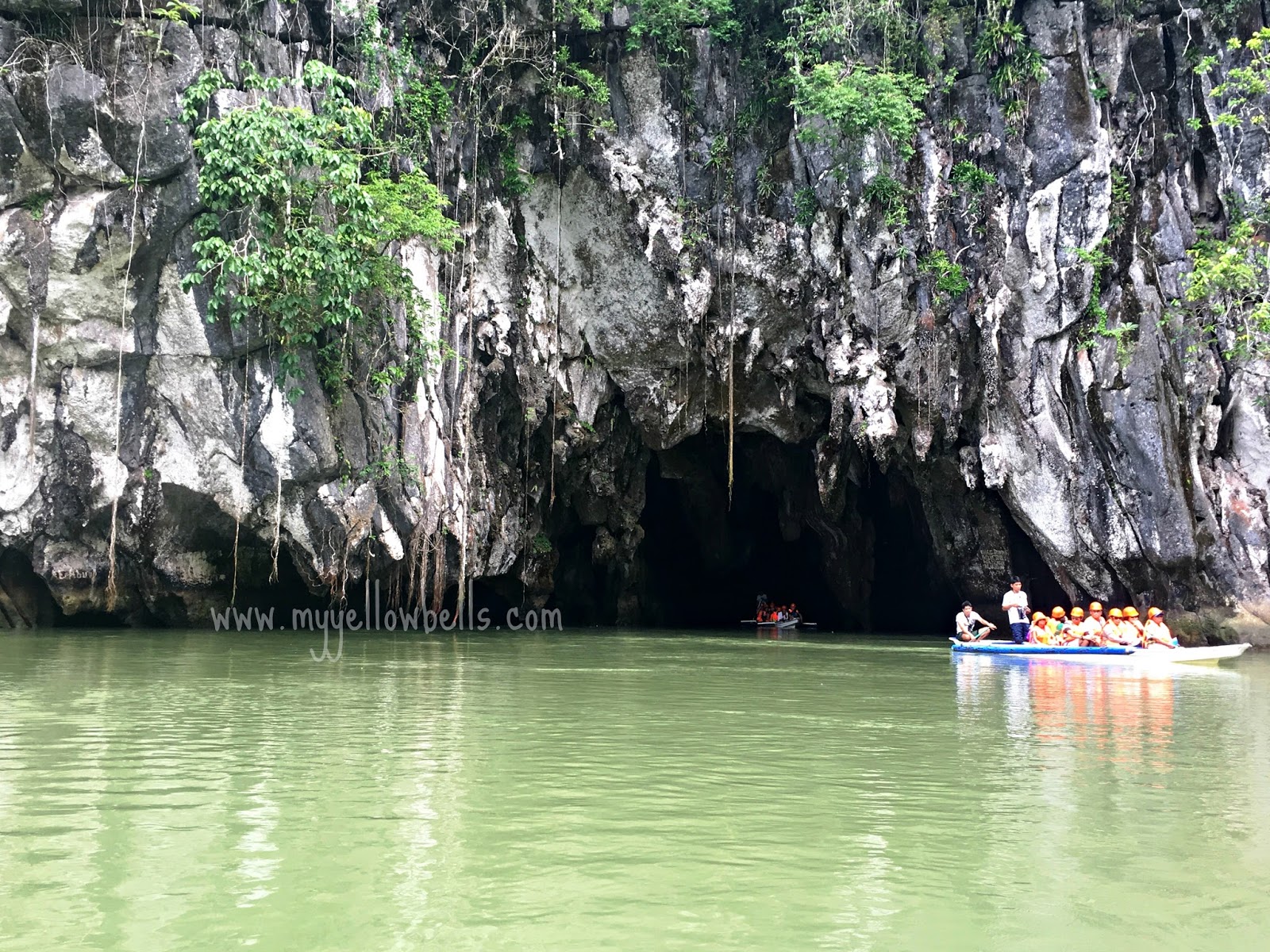 My Yellow Bells Palawan Family Visit