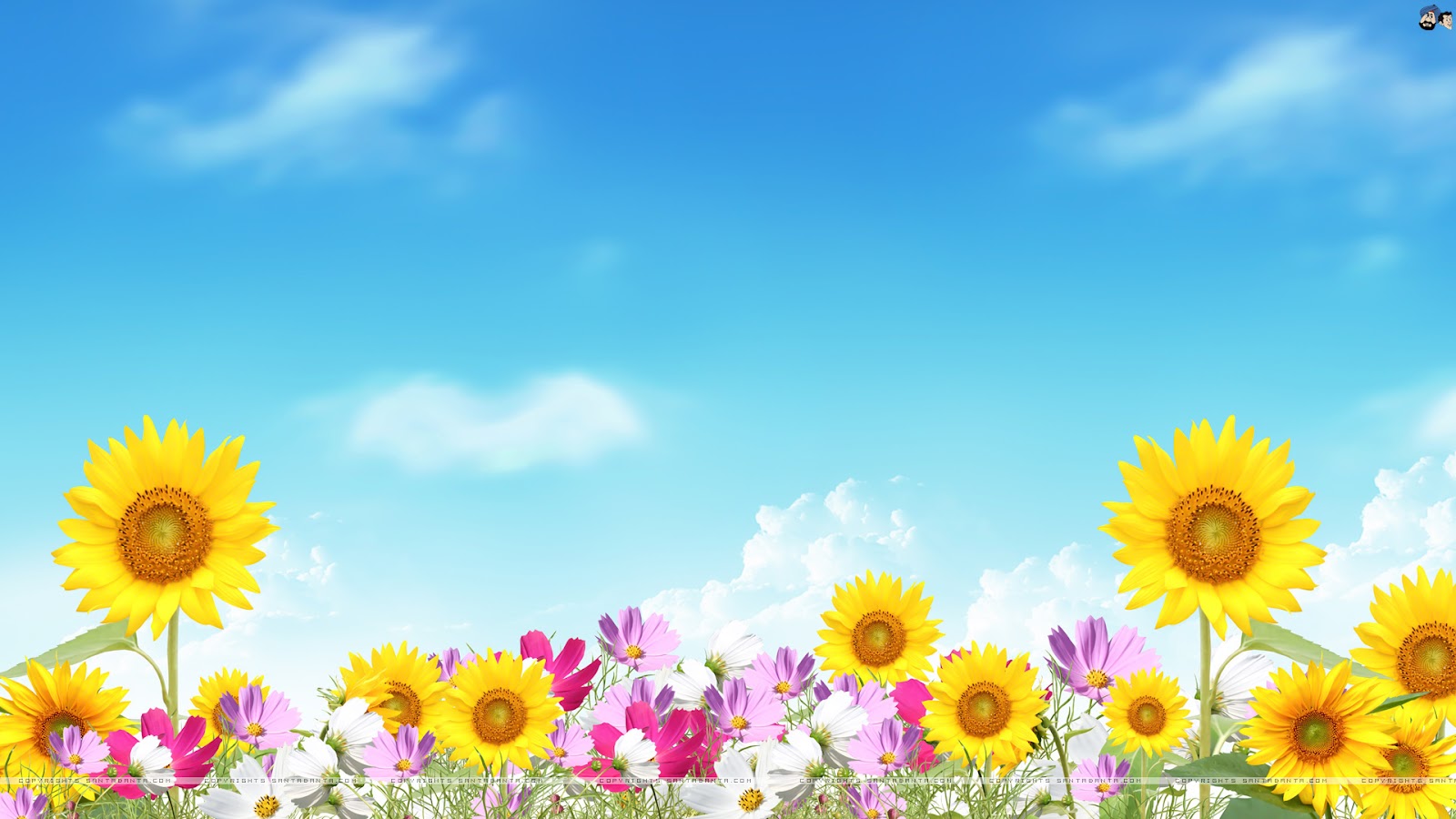 free summer background clipart - photo #37