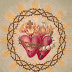 THREE OFFERINGS OF THE PRECIOUS BLOOD IN THANKSGIVING FOR THE PRIVILEGE OF MARY'S IMMACULATE CONCEPTION