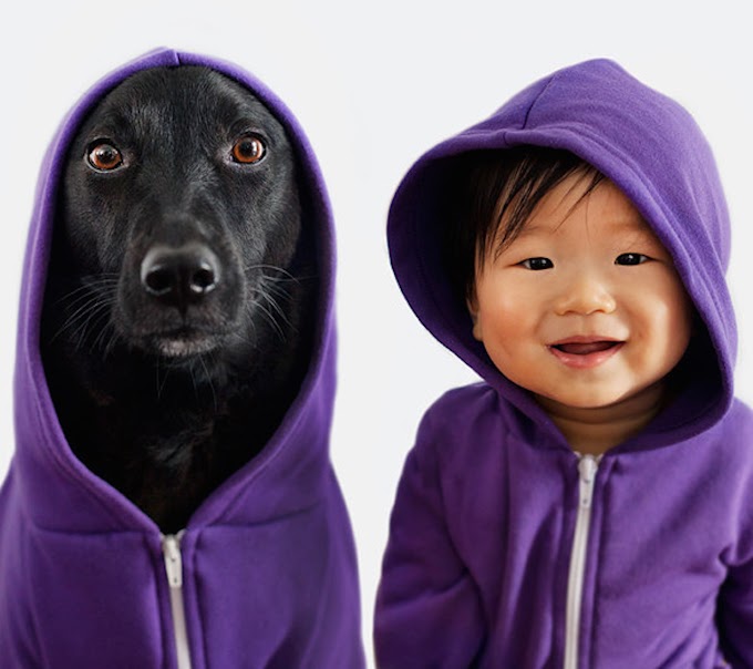 Babies Who Grow Up With Pets Have Less Allergies