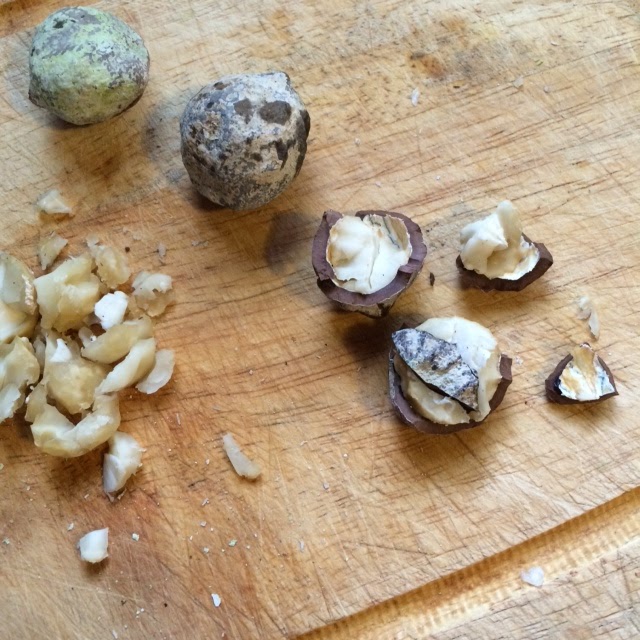 Candlenuts Substitute