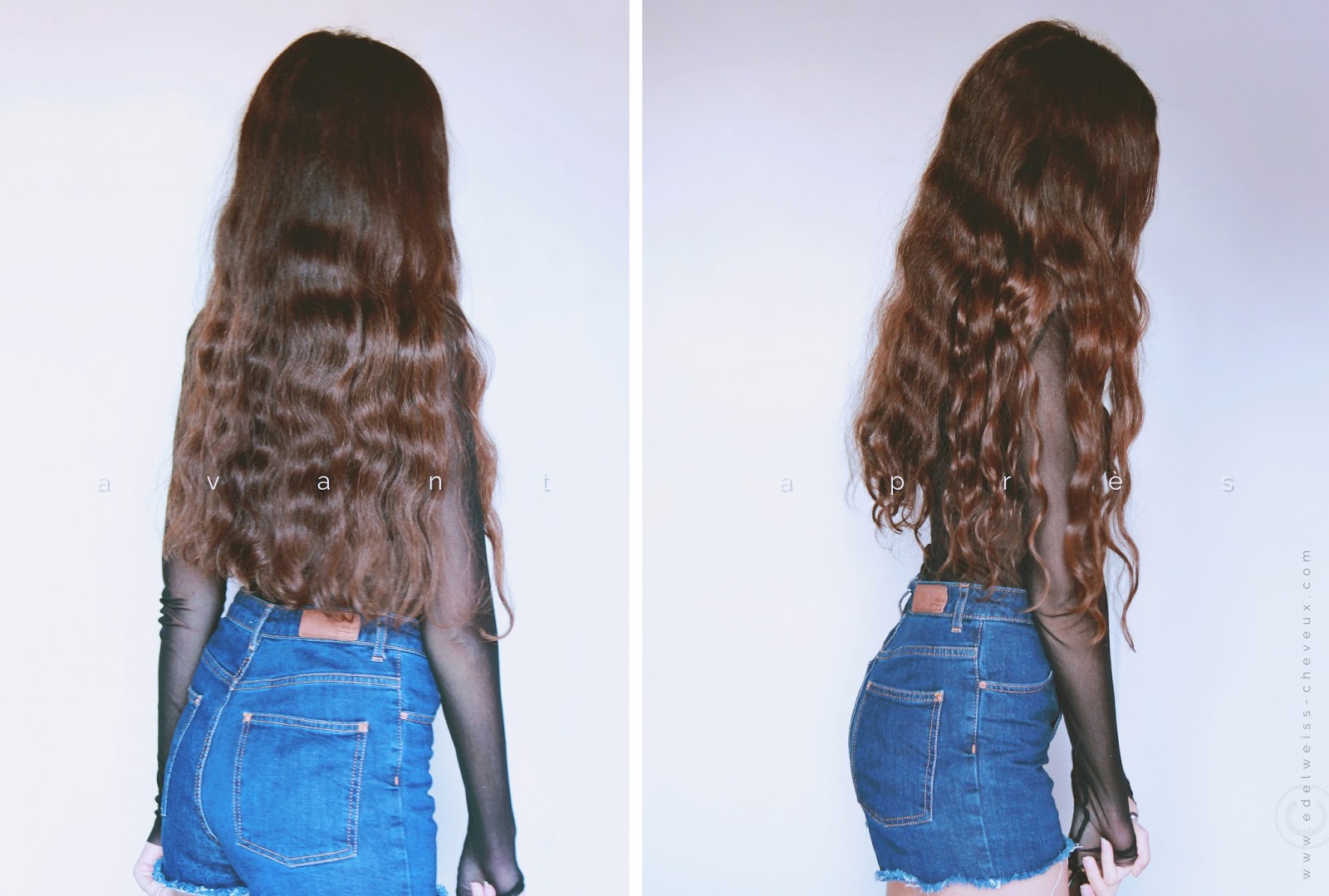 Journal Capillaire D Edelweiss Fevrier 2017