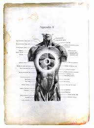 A Filosofia Da Viagem No Tempo Roberta Sparrow Pdf