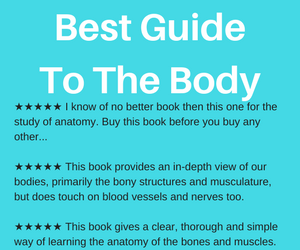 best guide to the body