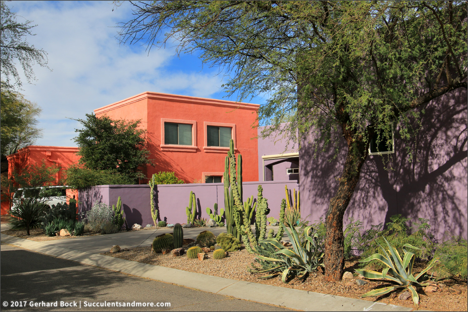 Tucson's Civano community where I'd love to live