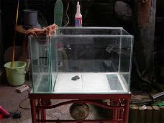 Cara Menghilangkan Kerak Di Kaca Aquarium Menghilangkan Masalah