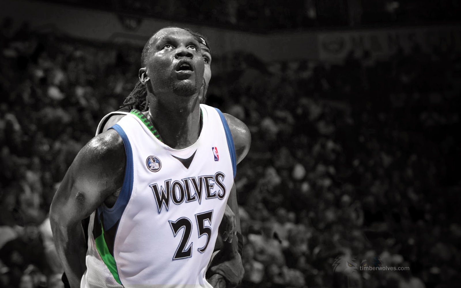 Al Jefferson Wallpapers : World Top Best HD Desktop Wallpapers