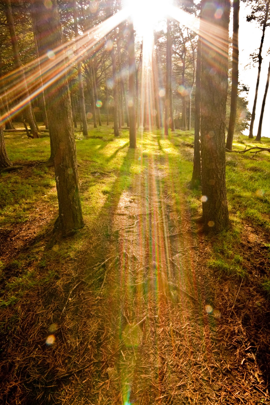 Trigger Happy Landscape photography