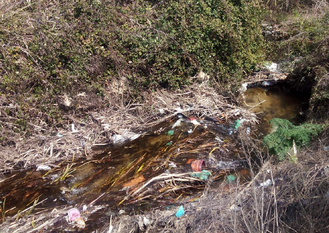 Medios y política Estado del arroyo del Molino en Pelayos de la Presa