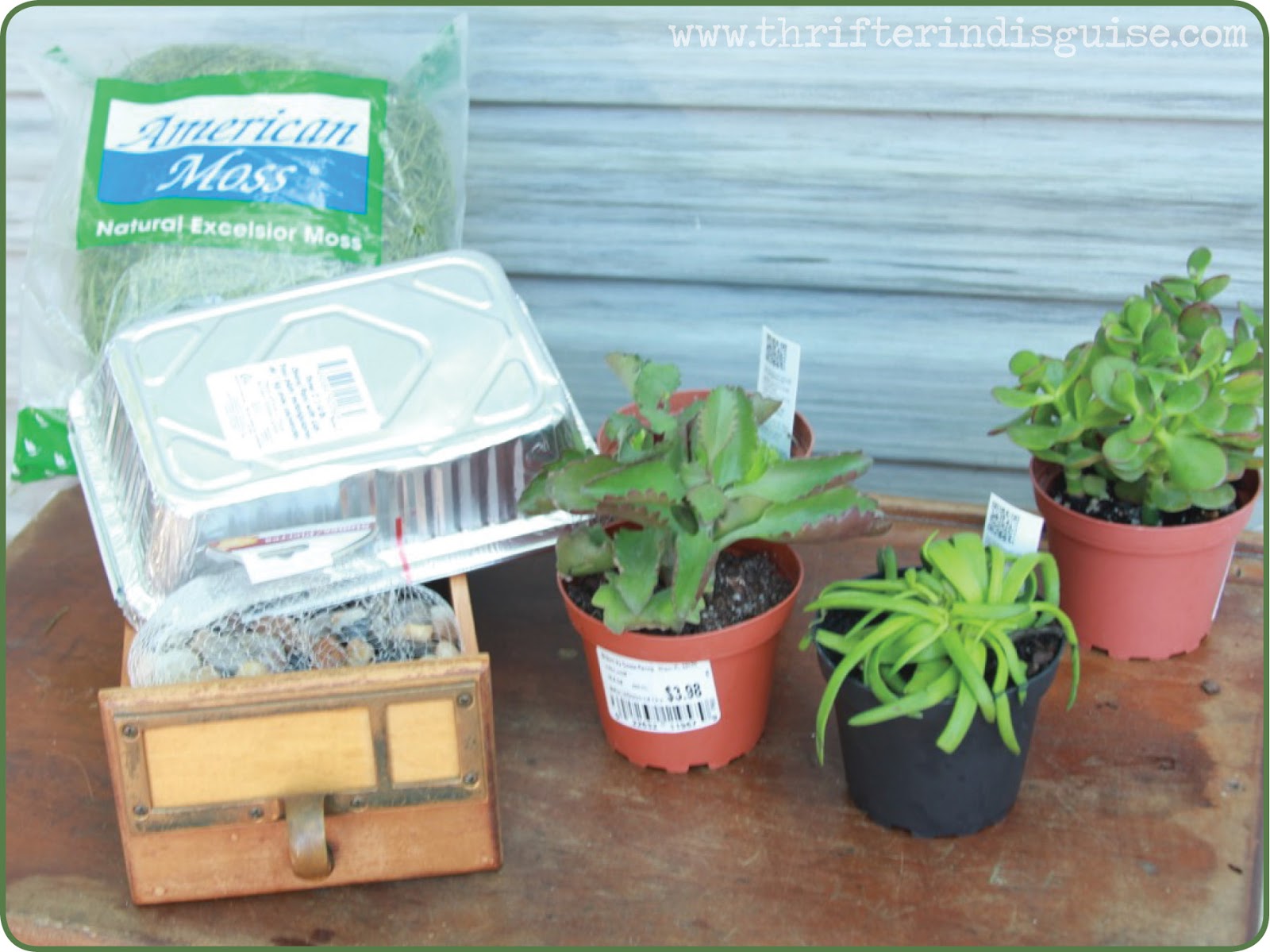 A Thrifter in Disguise Fab Ideas for Antique Card Catalog Drawers