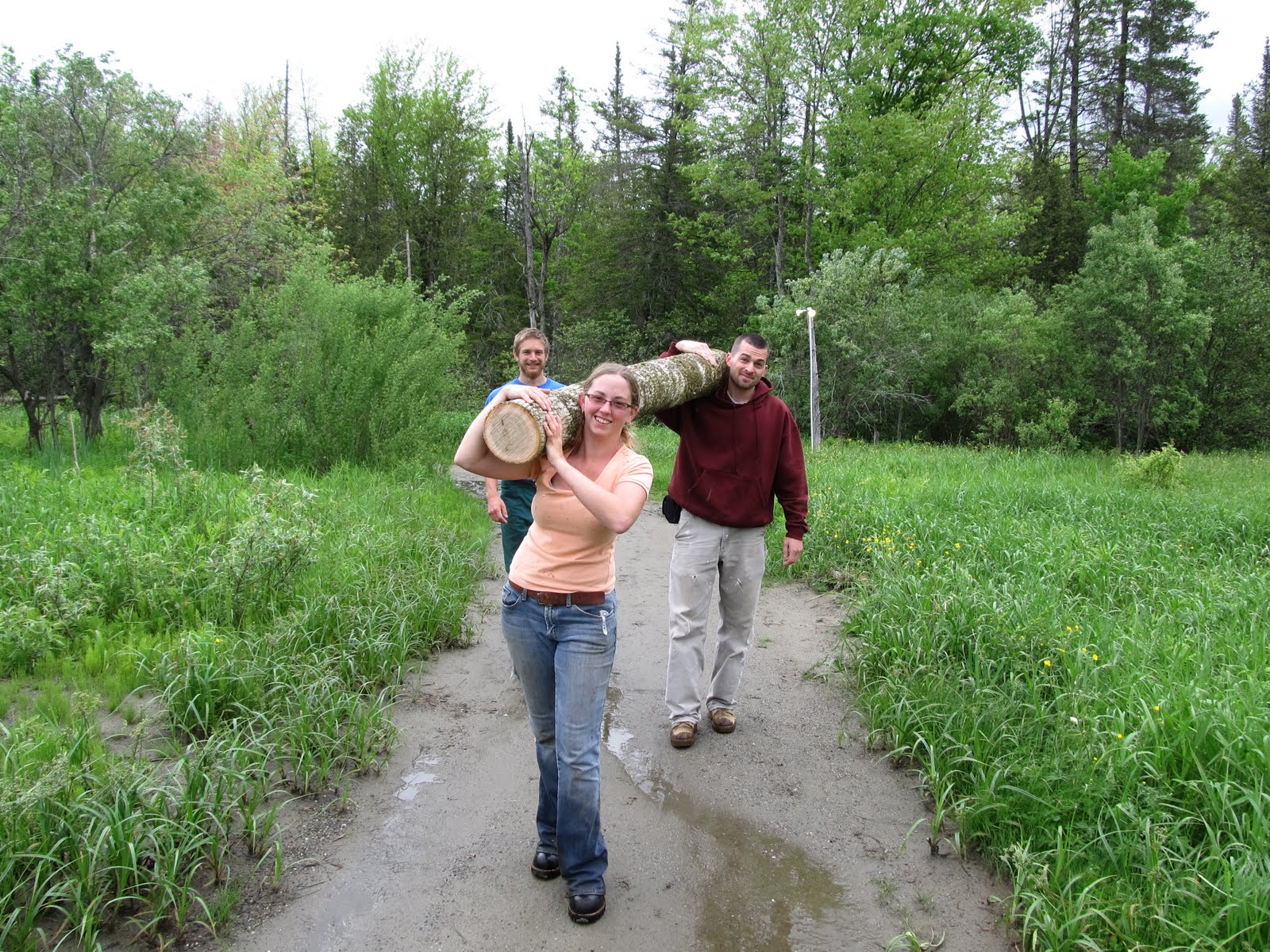 Ol' Timey Harvesting Black Ash Splints for Basket Making