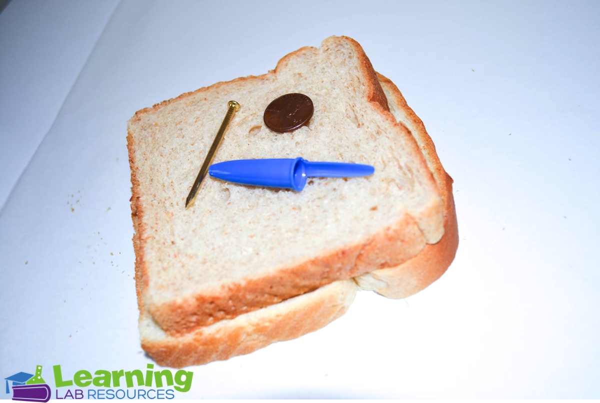 Have your students learn about fossils and sedimentary rocks by doing this easy "rock sandwich" science lab. 