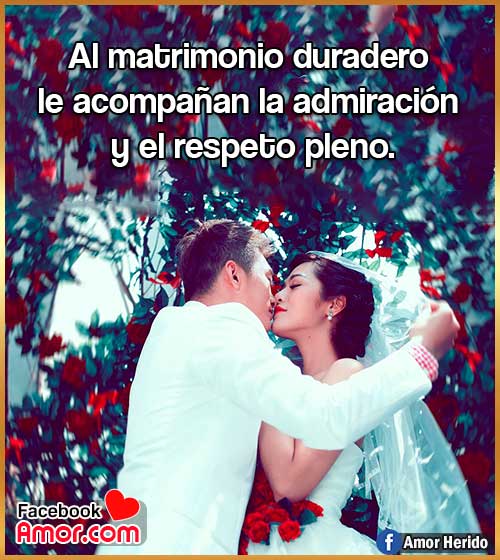 frases bonitas de matrimonio frases bonitas de matrimonio