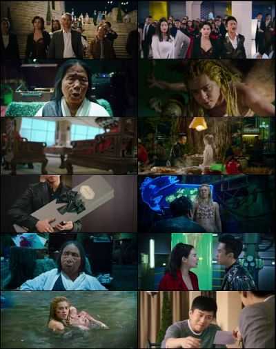 The Mermaid 2016 Hindi Dual Audio 720p 1GB BRRip