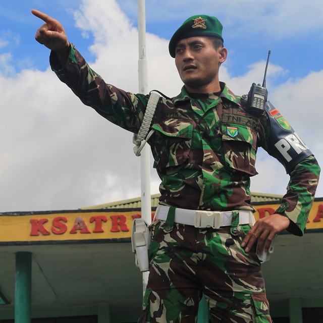 sub lebah ganteng flight.world.war.ii.2015
