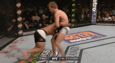 2.gif
