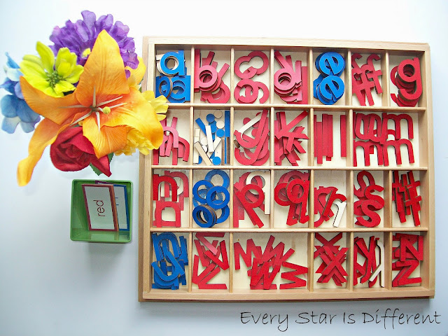 Flower Colors with the Moveable Alphabet