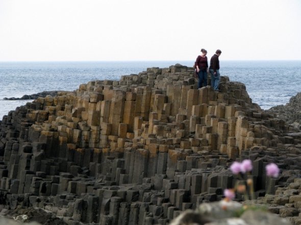 When nature works miracles