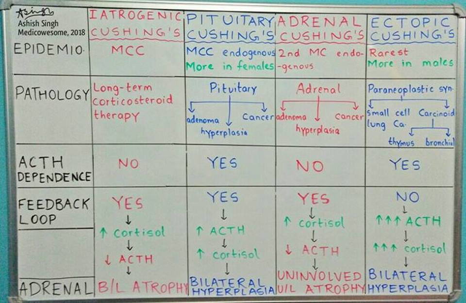 Medicowesome Cushing's Syndrome A Quick Review