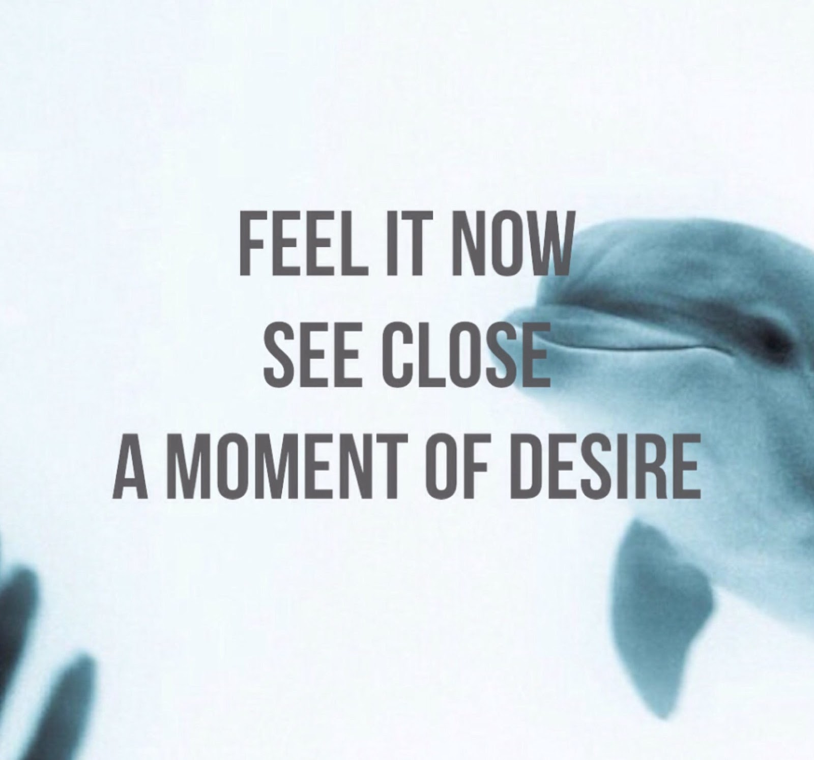 Charli xcx how i'm feeling now. Feeling is now. Feeling is now. Feeling is now. How i'm feeling now.