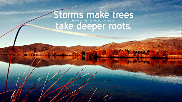 Storms make trees deeper roots.