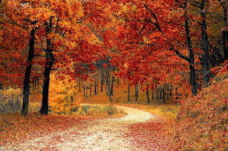8 luoghi più belli da visitare in autunno