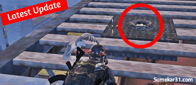 Mendapatkan Hewan Peliharaan Elang | PUBG Mobile Lokasi Rahasia Untuk Mendapatkan Sahabat Hewan Peliharaan | PUBG Mobile Indonesia