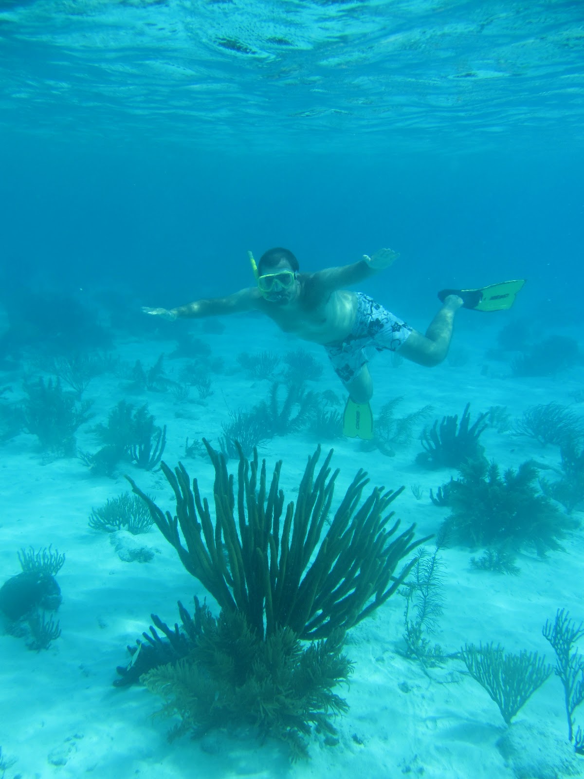 As praias e recifes paradisíacos de TOBACCO CAYE - Um atol no mar das Caraíbas | Belize