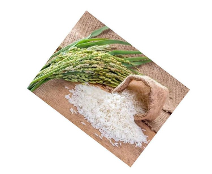 Nigeria overtakes Egypt as largest rice producer in Africa SNoted