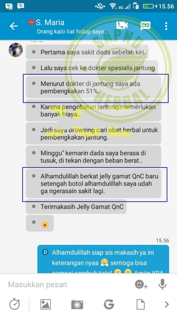 Inilah Pengobatan Lemah Jantung yang Terpercaya dan Sudah Inilah Pengobatan Lemah Jantung yang Terpercaya dan Sudah