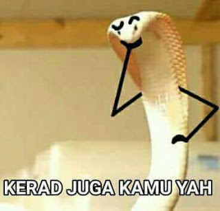 Kerad Kerad