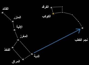 الدبّ الأكبر والدبّ الأصغر والنجم القطبي - الموسوعة المدرسية