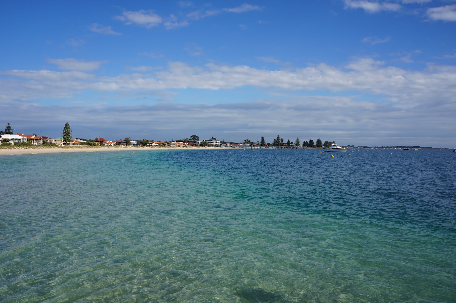 The Life of a Cavetree: Rockingham and Palm Beach