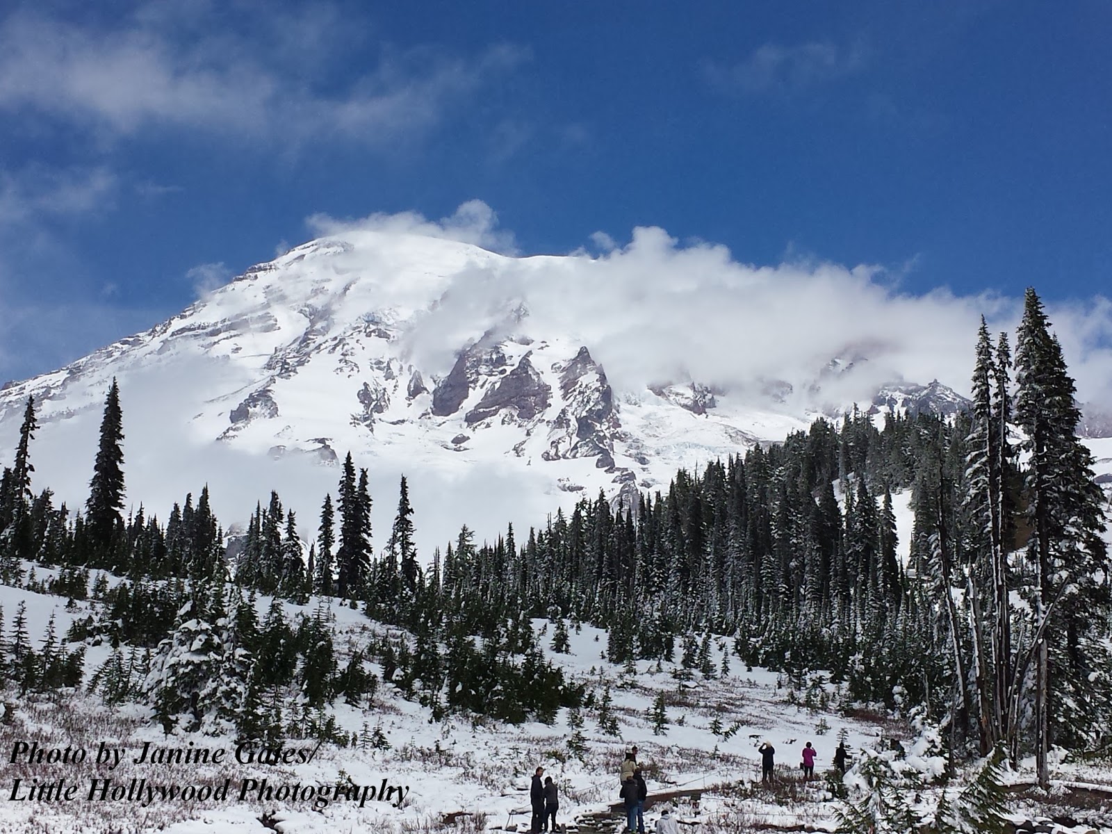 Little Hollywood Breathing Spaces Mt. Rainier National Park