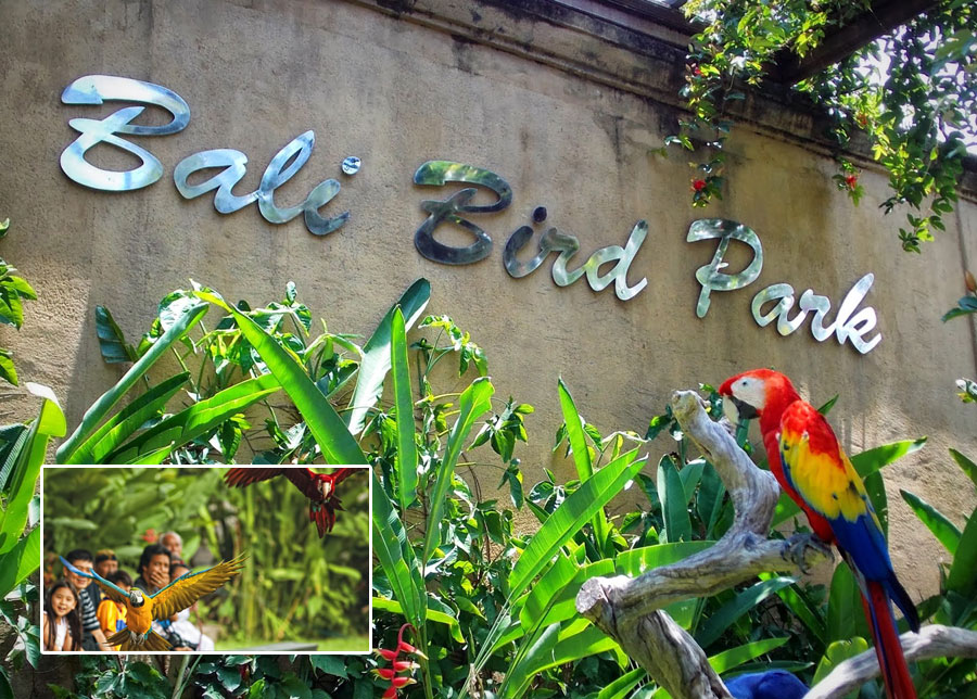 Family holidays Bali packages cheap