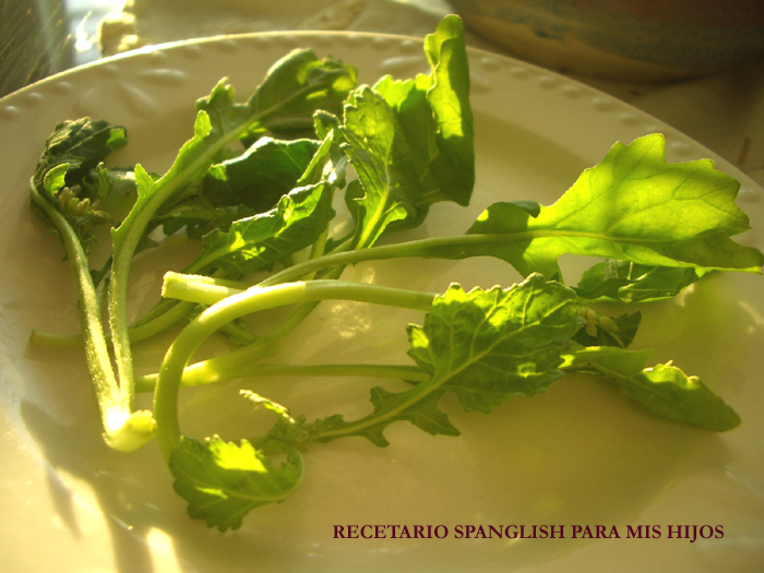 Recetario Spanglish para mis hijos Sandwich de filet de pescado con