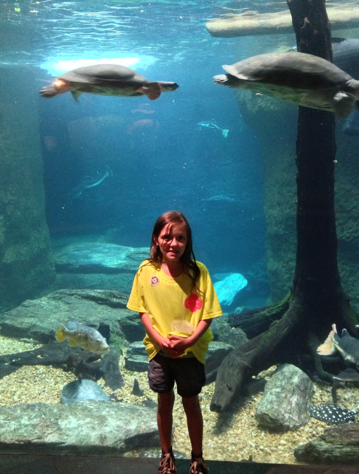 Half a Dozen Vosses Dallas World Aquarium