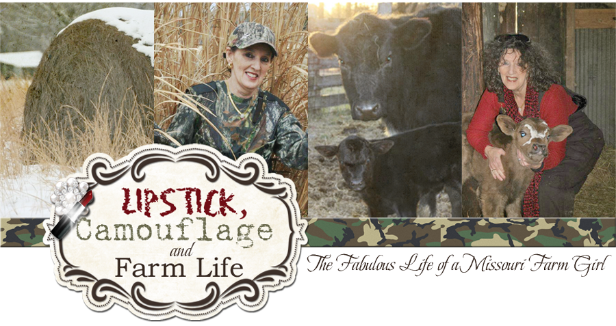 Lipstick, Camouflage, and Farm Life