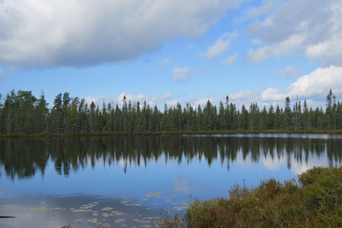 Bear Lake