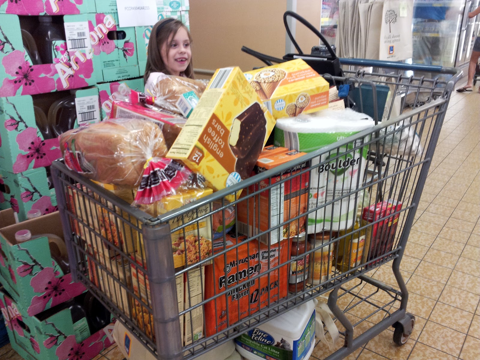 A Work in Progress I Love Aldi!