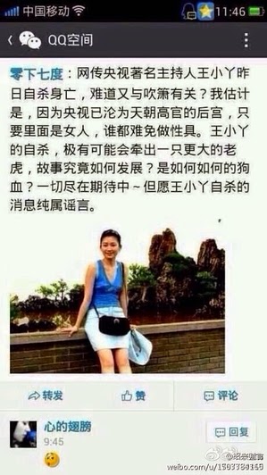(上图）19日，微博上传出央视著名主持人王小丫自杀身亡的消息。（网络图片）
