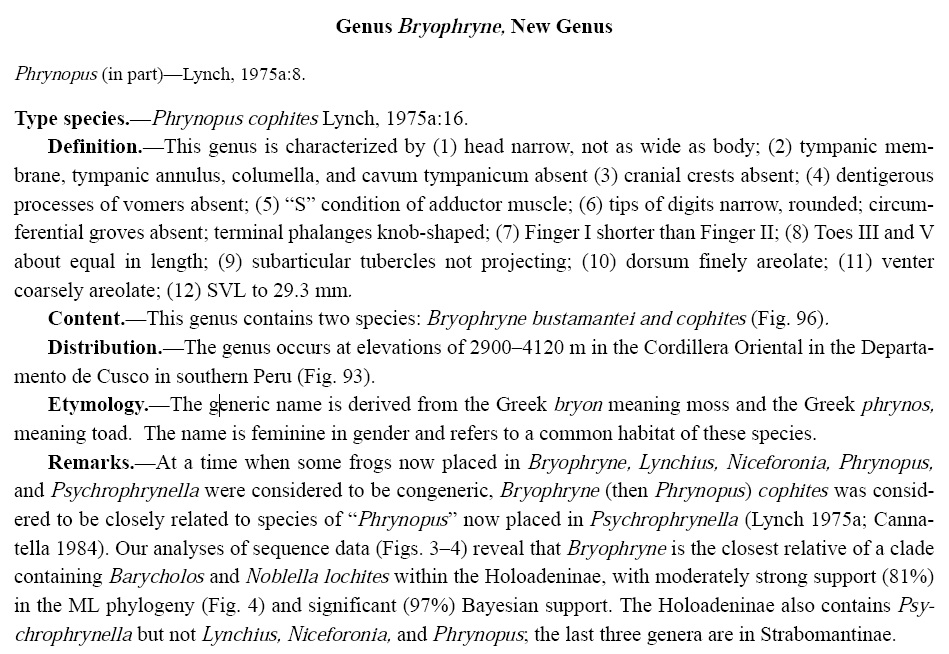 Species New to Science [Herpetology • 2008] Bryophryne (Phrynopus