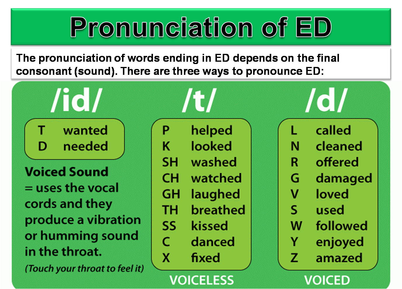 basic-english-i-simple-past-tense-of-the-other-verbs