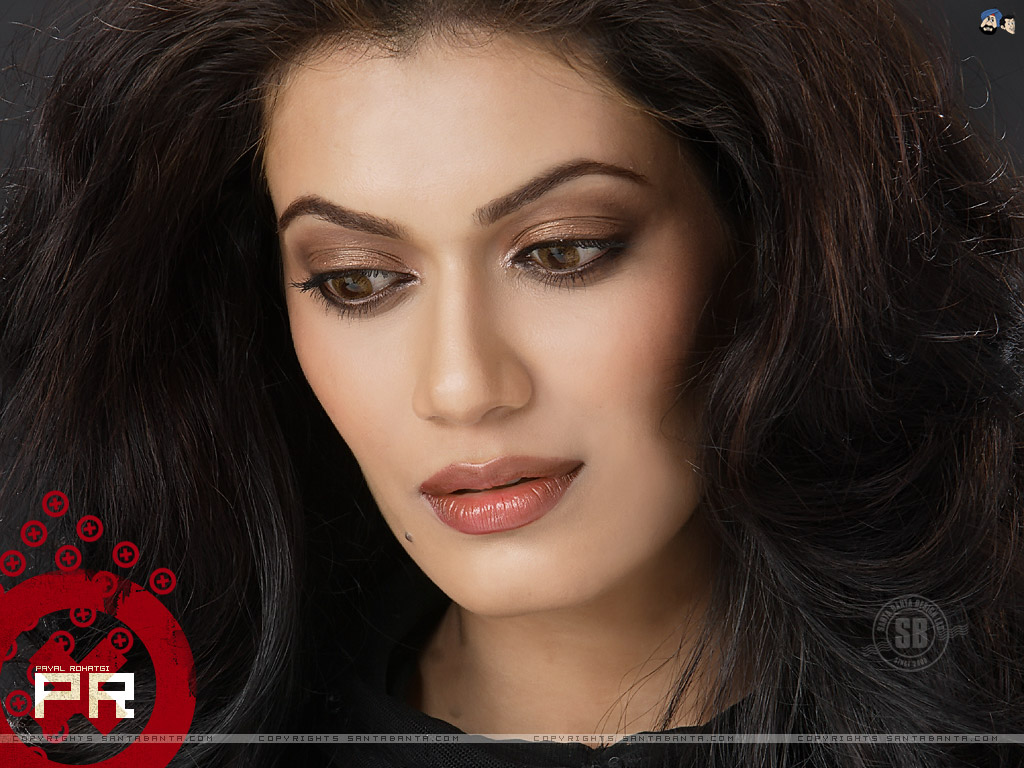 Payal Rohtagi 3 ~ Hot-celebs-wallpapers
