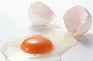 10 Fakta Menarik Tentang Telur yang Mungkin Belum Anda Ketahui