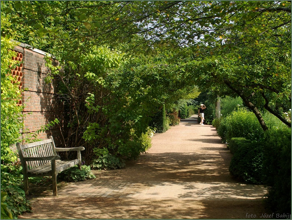 Plant Gallery - Encyklopedia Roślin: