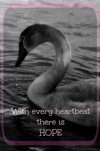 Just a quote... "With every heartbeat there is hope." via @stuckinscared