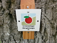 Premium-Spazierwanderweg Unterjesinger Wengertwegle bei Tübingen-Unterjesingen, Teil 1 von 5