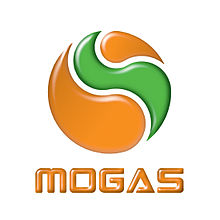 Job & Employement Opportunity-Management Accountant_ MOGAS Tanzania Ltd